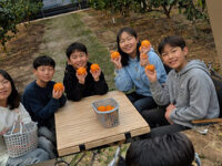 아이들과 함께한 유자 마을 체험